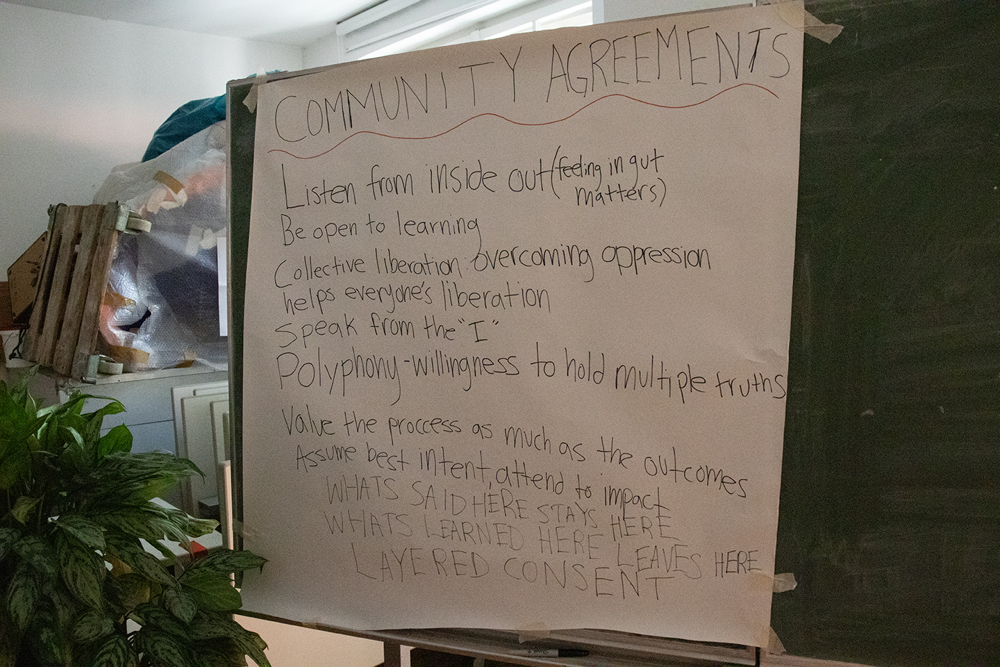 A big sheet of paper is taped onto a board. On the paper, the community agreements below are written by hand. The letters form wavy shapes. In front of the board, leaves of a green plant fill the left corner of the photo. Behind the board, there are some materials such as wood and plastic – it looks a bit like a storage space.